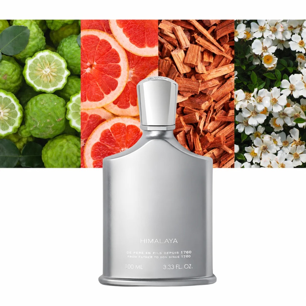 Aventus Fragrance For Men 100m – Perfume Fragrance Man recenzja i cena